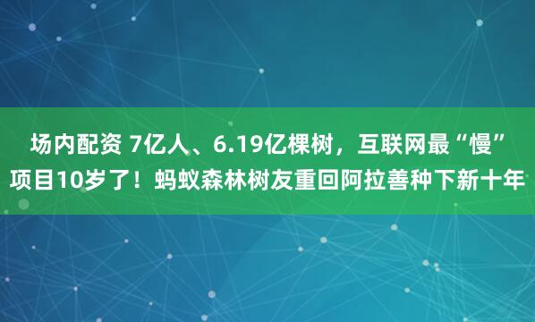 场内配资 7亿人、6.19亿棵树，互联网最“慢”项目10岁了！蚂蚁森林树友重回阿拉善种下新十年